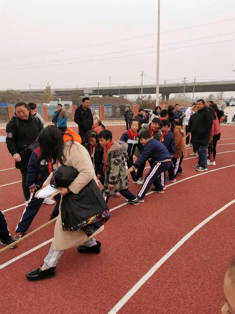  体操赛场再起风云：川蜀青龙队失利庐州火狐队，赛场气氛火爆临场应变见真章