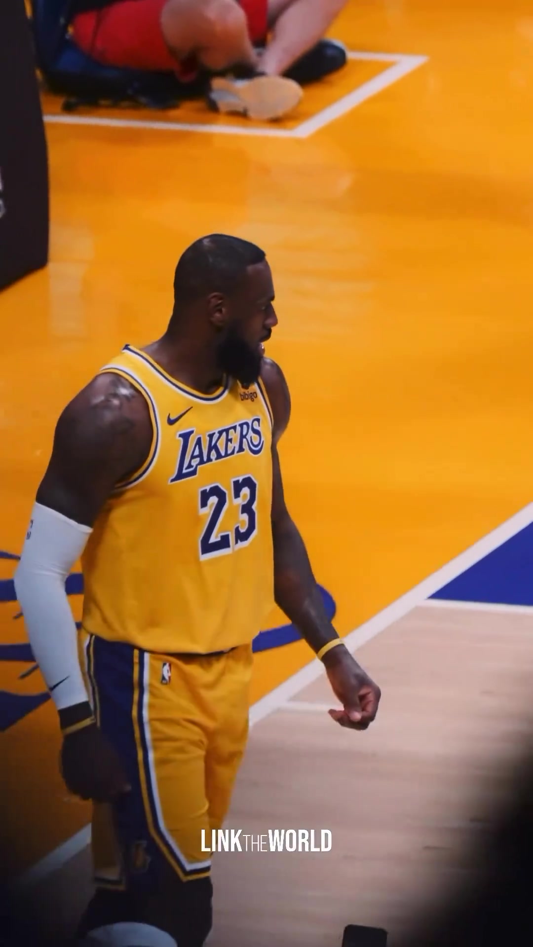 关于詹姆斯连续十二场比赛得分超过爆冷，MAD挑战极限！的信息